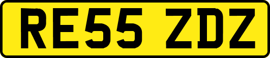 RE55ZDZ
