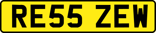 RE55ZEW