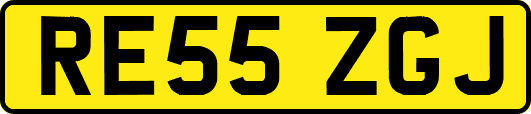RE55ZGJ