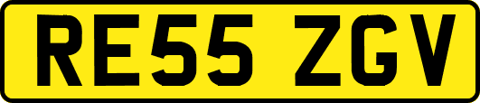 RE55ZGV