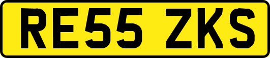 RE55ZKS