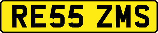RE55ZMS