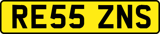 RE55ZNS