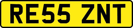 RE55ZNT
