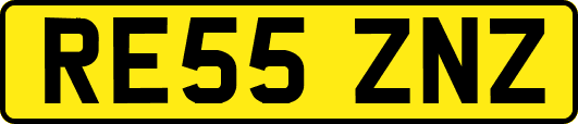RE55ZNZ
