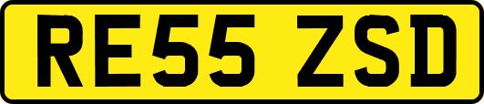 RE55ZSD