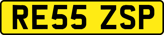 RE55ZSP