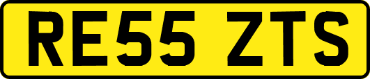 RE55ZTS