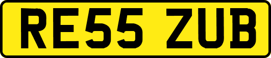 RE55ZUB