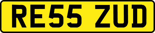 RE55ZUD