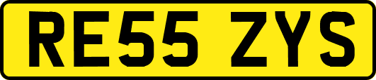 RE55ZYS