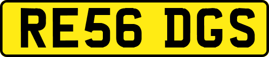 RE56DGS
