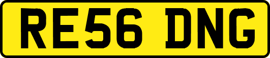 RE56DNG