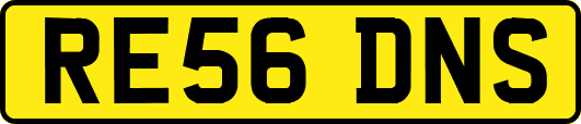 RE56DNS