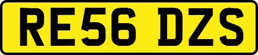 RE56DZS