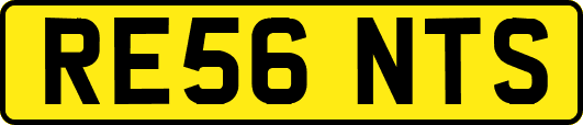 RE56NTS