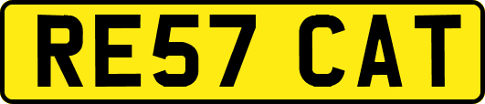 RE57CAT