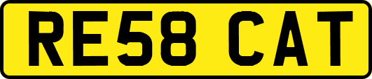 RE58CAT