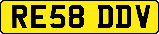 RE58DDV