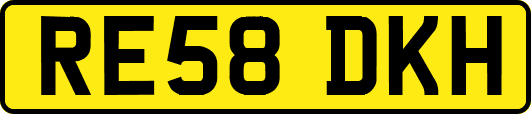 RE58DKH