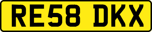 RE58DKX