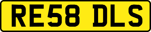 RE58DLS