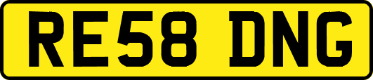 RE58DNG