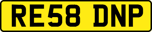 RE58DNP
