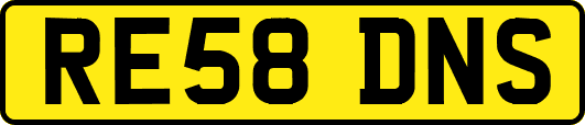 RE58DNS