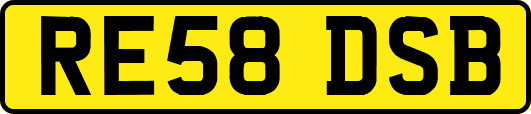RE58DSB