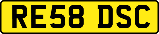 RE58DSC