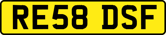 RE58DSF