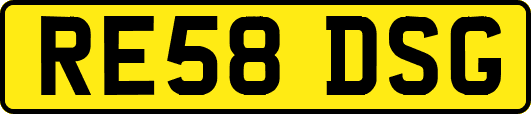 RE58DSG