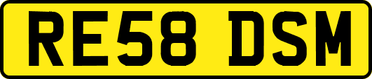 RE58DSM