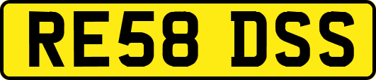 RE58DSS