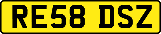 RE58DSZ