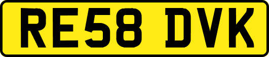 RE58DVK