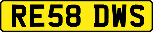 RE58DWS