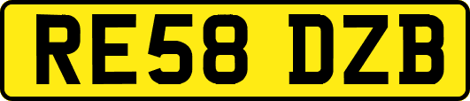 RE58DZB