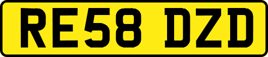 RE58DZD