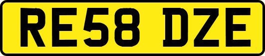 RE58DZE