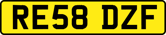 RE58DZF