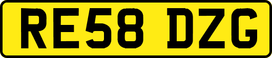 RE58DZG