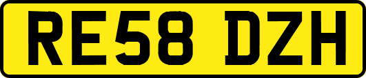 RE58DZH