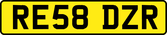 RE58DZR