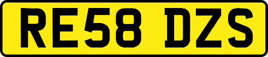 RE58DZS