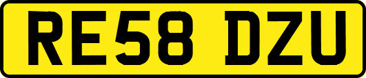 RE58DZU