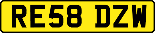 RE58DZW