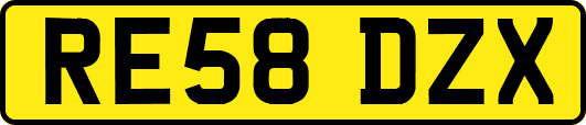 RE58DZX