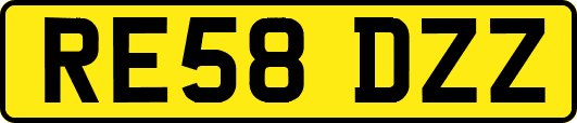 RE58DZZ